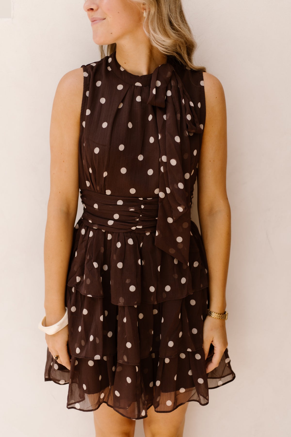 May Big Dot Dress Brown