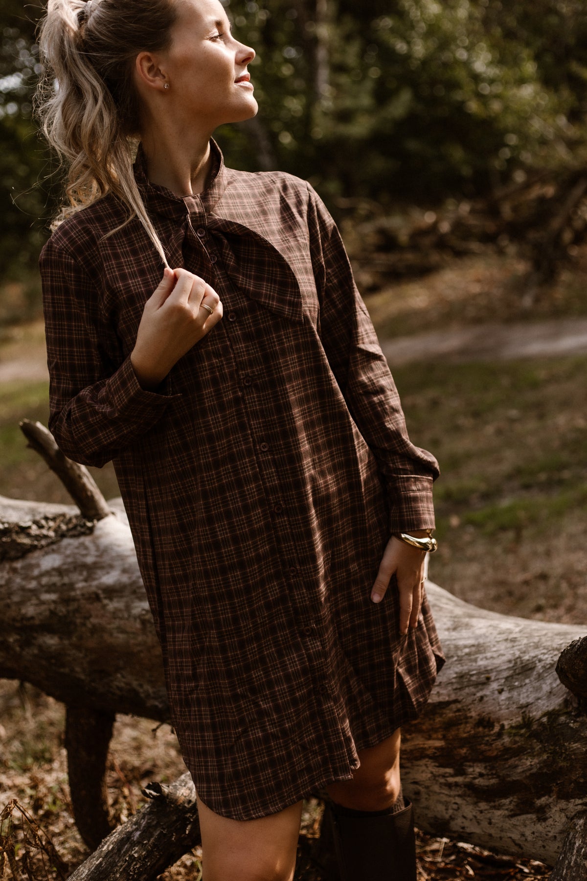 Jola check dress brown/beige