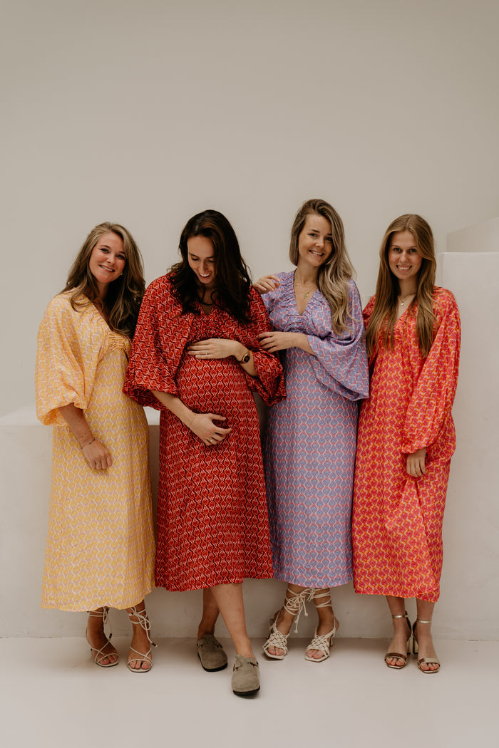 Whitney Midi Dress Blue Pink