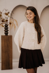 Emmely pleated skirt brown