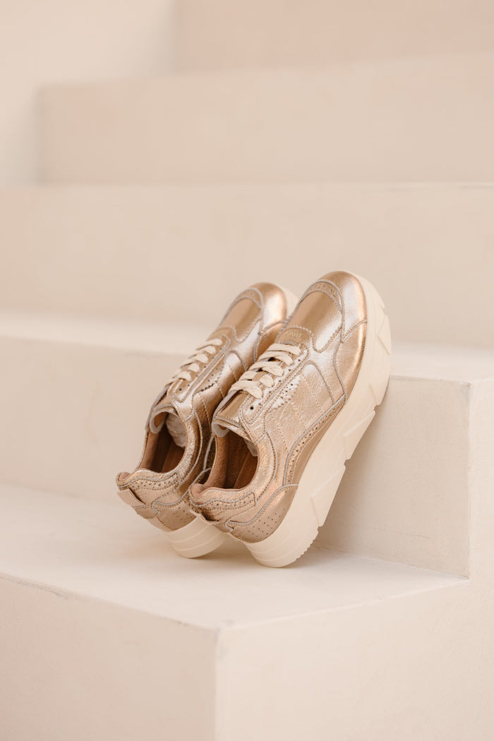 Kady fat 444 - D gold - Bij Keesje - Tango