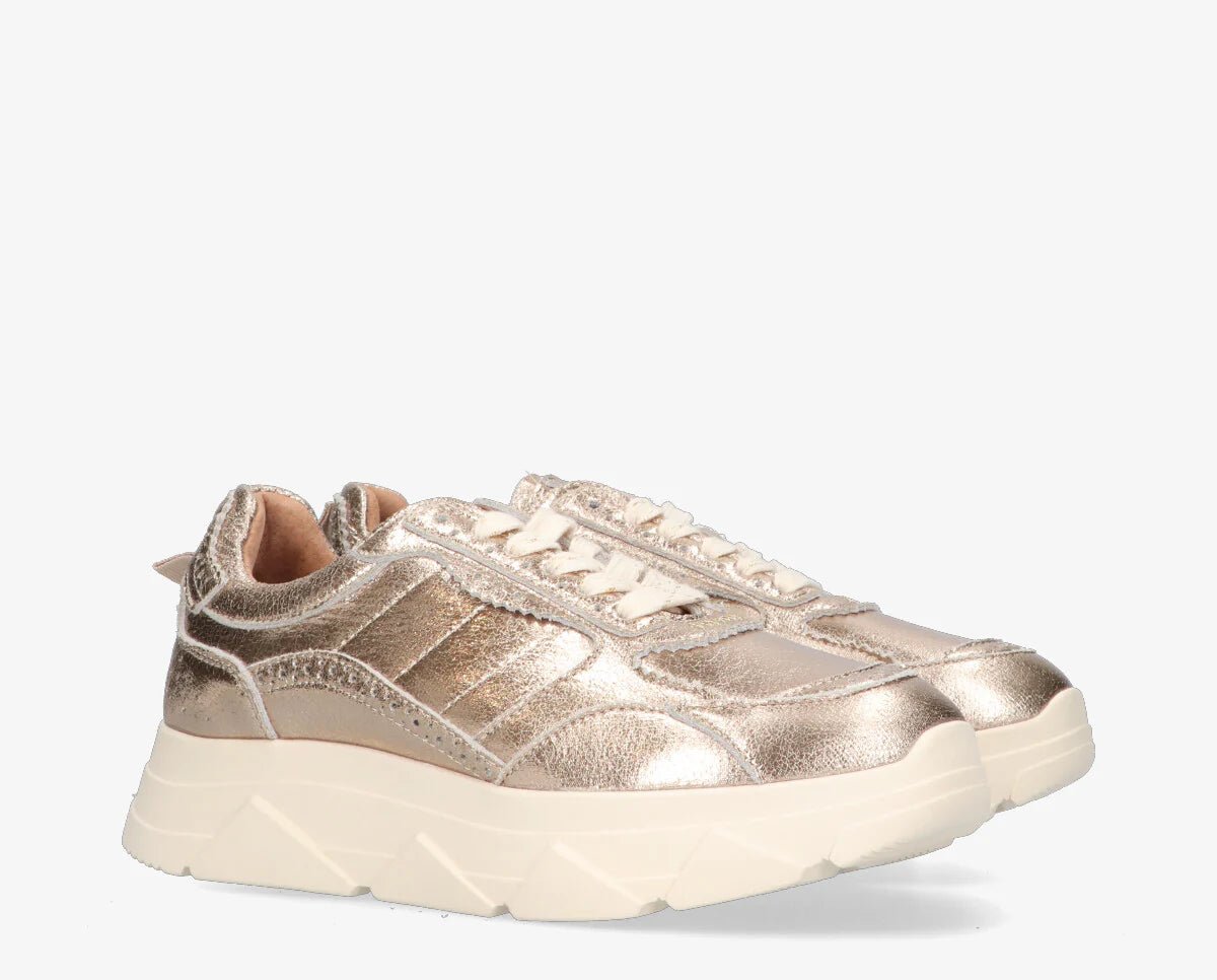 Kady fat 444 - D gold - Bij Keesje - Tango