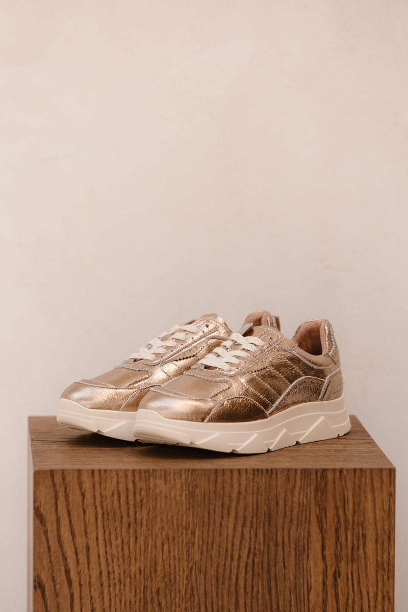 Kady fat 444 - D gold - Bij Keesje - Tango