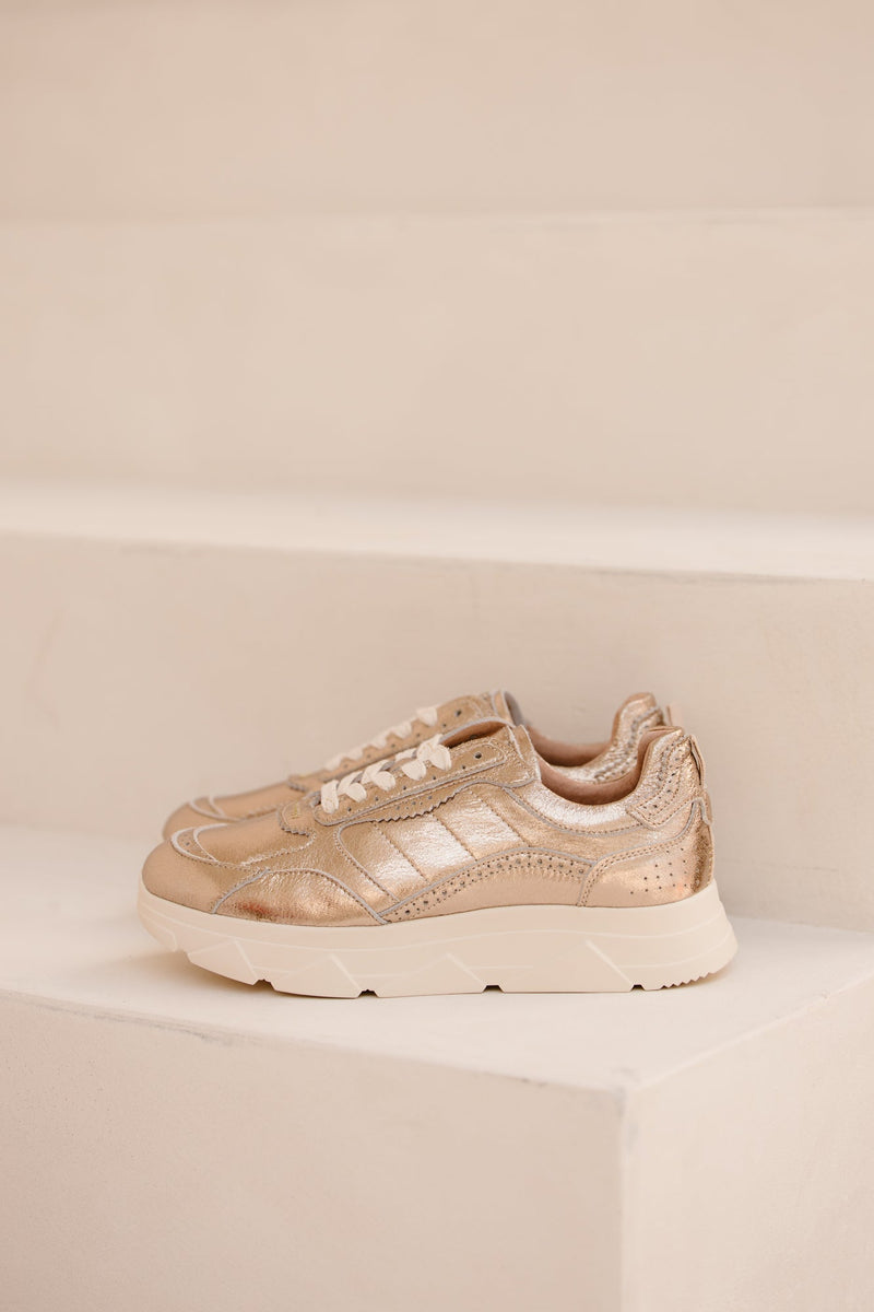 Kady fat 444 - D gold - Bij Keesje - Tango